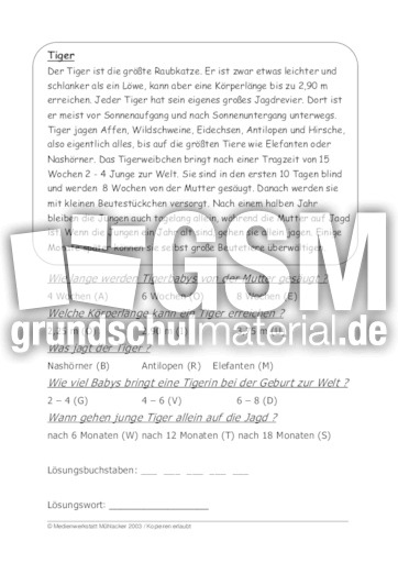 Tiger.pdf